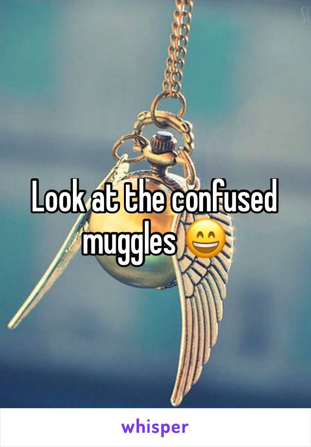Look at the confused muggles 😄