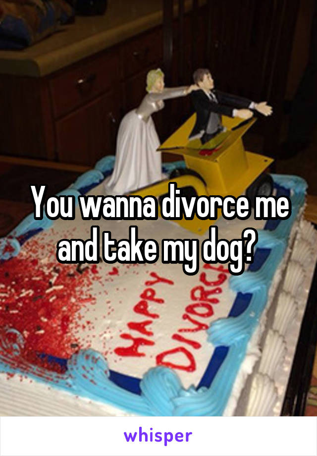 You wanna divorce me and take my dog? 