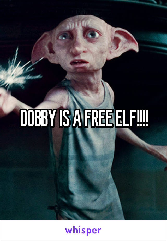 DOBBY IS A FREE ELF!!!!