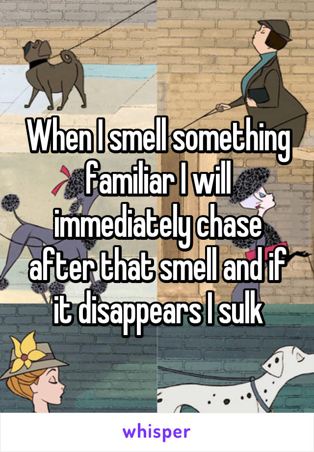 When I smell something familiar I will immediately chase after that smell and if it disappears I sulk
