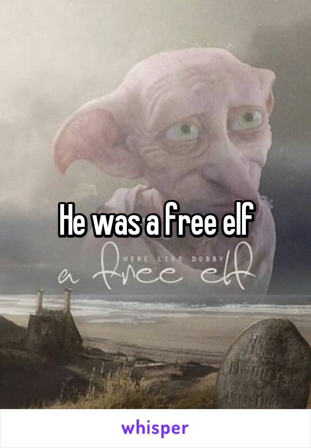 He was a free elf