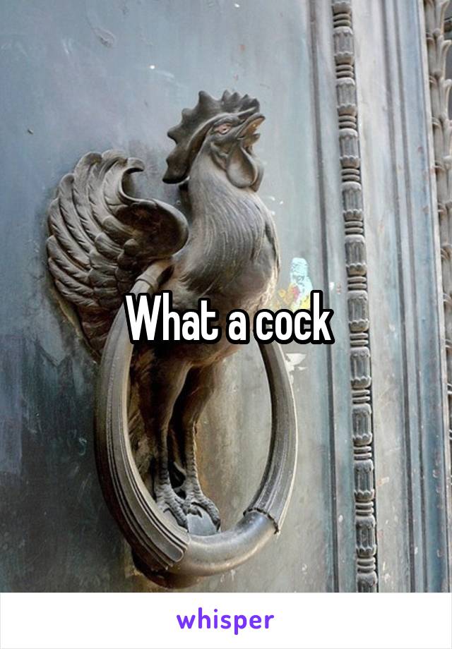 What a cock