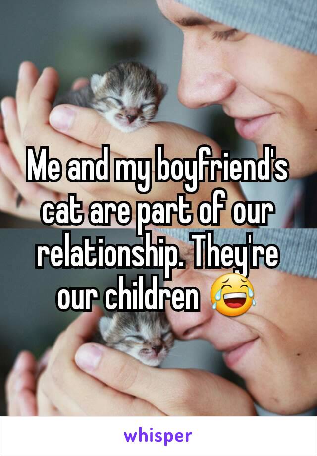 Me and my boyfriend's cat are part of our relationship. They're our children 😂