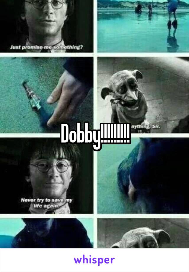 Dobby!!!!!!!!!
