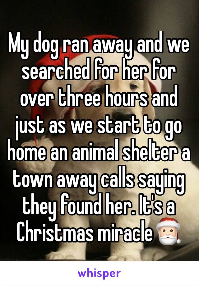 My dog ran away and we searched for her for over three hours and just as we start to go home an animal shelter a town away calls saying they found her. It's a Christmas miracle🎅🏻