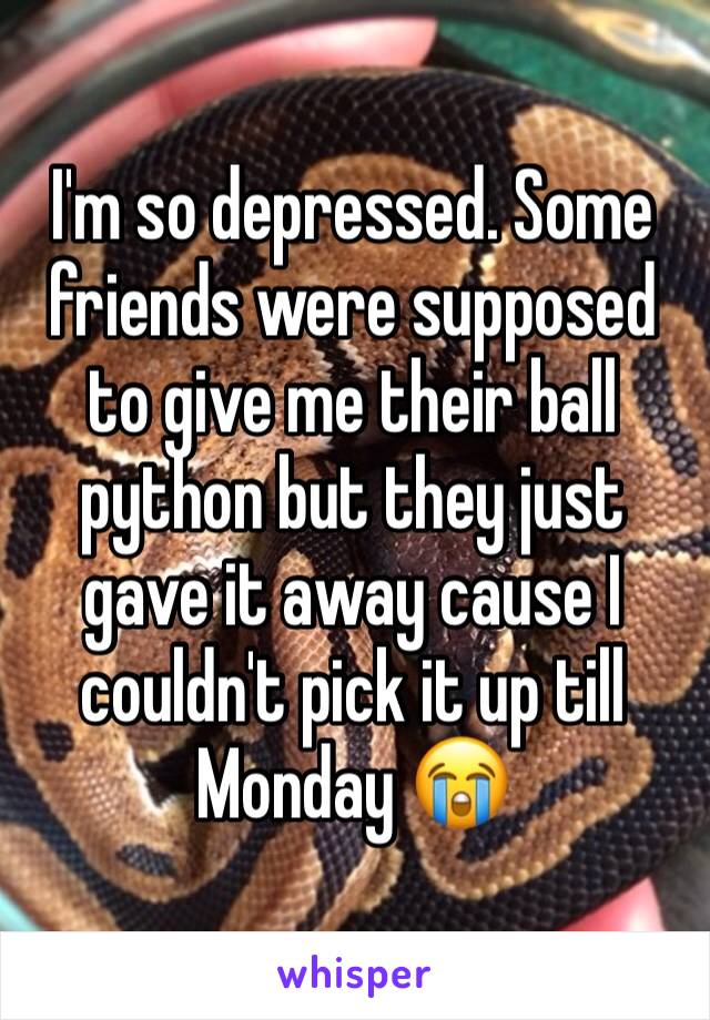 I'm so depressed. Some friends were supposed to give me their ball python but they just gave it away cause I couldn't pick it up till Monday 😭