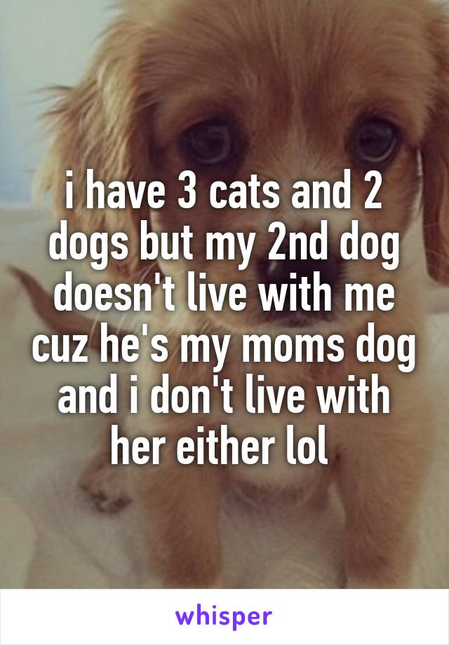 i have 3 cats and 2 dogs but my 2nd dog doesn't live with me cuz he's my moms dog and i don't live with her either lol 