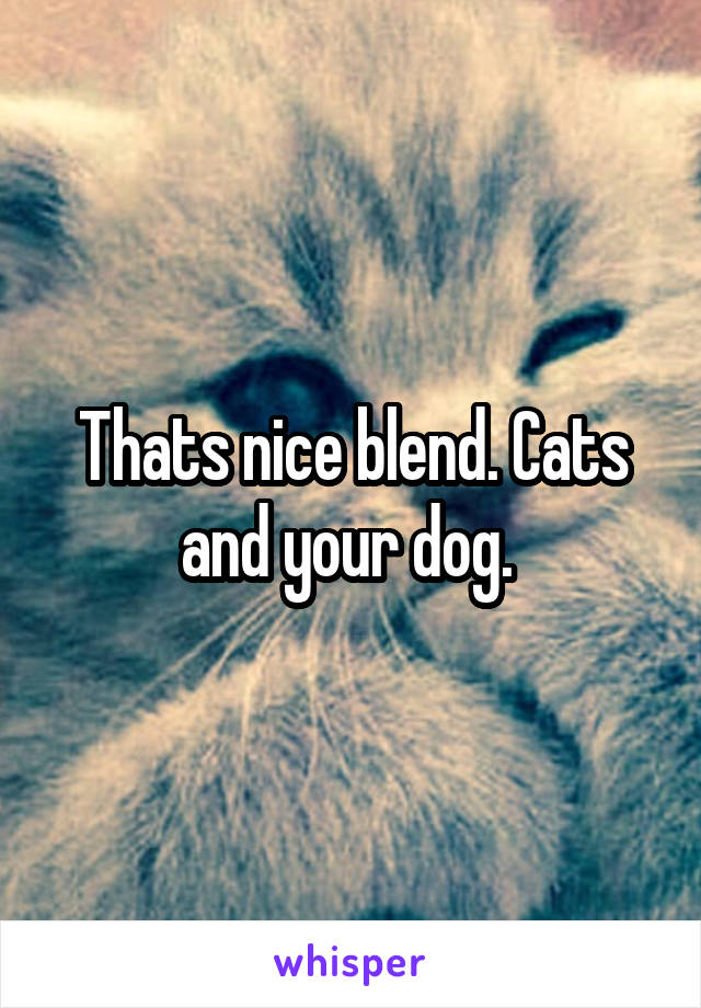 Thats nice blend. Cats and your dog. 