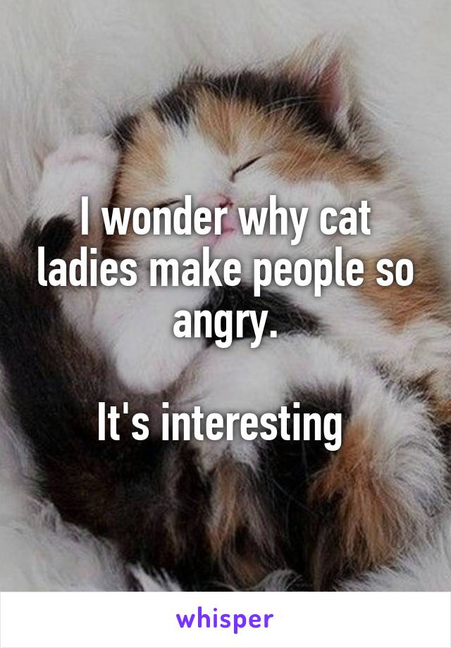 I wonder why cat ladies make people so angry.

It's interesting 