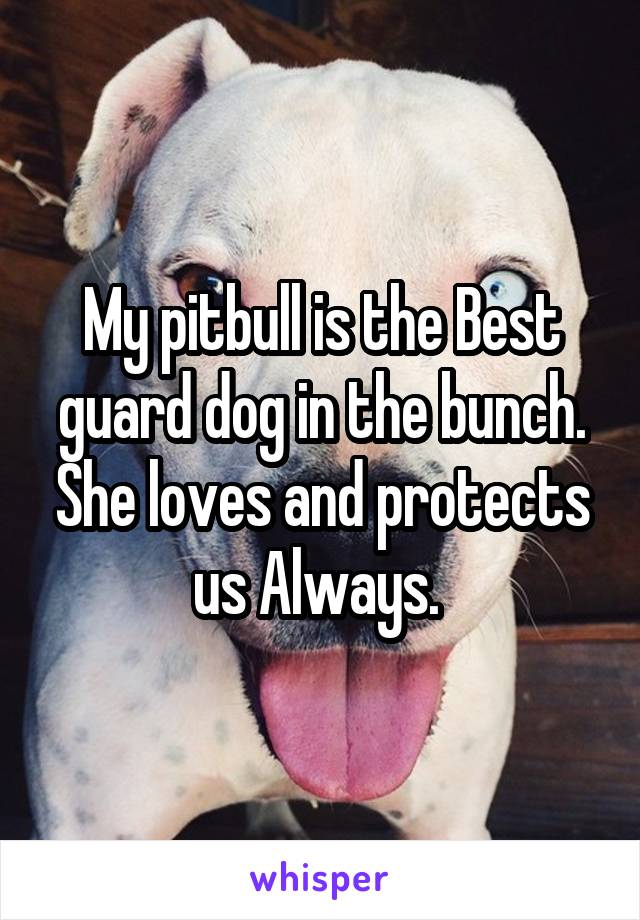 My pitbull is the Best guard dog in the bunch. She loves and protects us Always. 