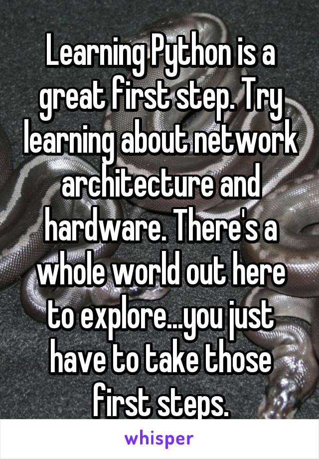 Learning Python is a great first step. Try learning about network architecture and hardware. There's a whole world out here to explore...you just have to take those first steps.