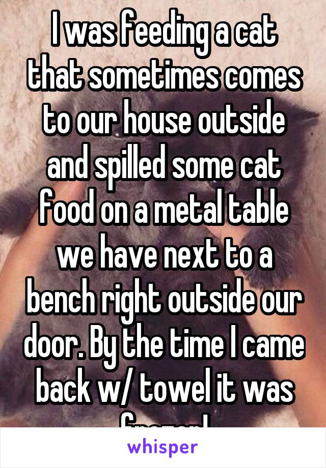 I was feeding a cat that sometimes comes to our house outside and spilled some cat food on a metal table we have next to a bench right outside our door. By the time I came back w/ towel it was frozen!