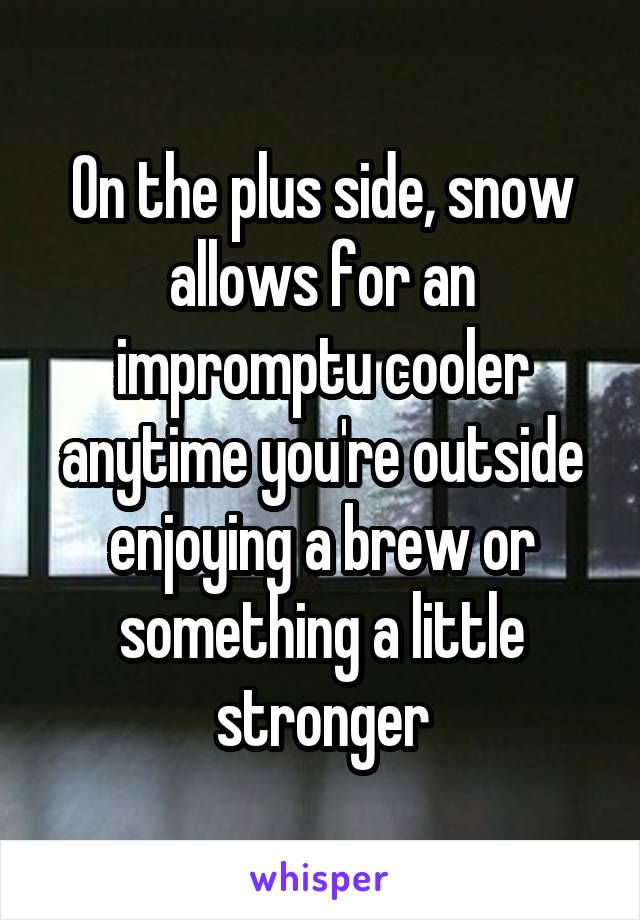 On the plus side, snow allows for an impromptu cooler anytime you're outside enjoying a brew or something a little stronger