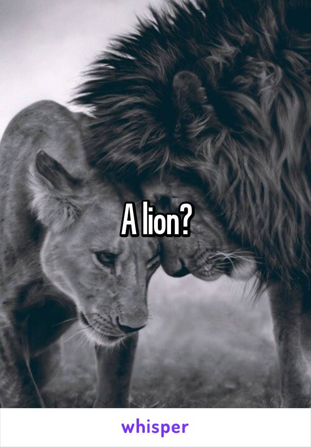 A lion?