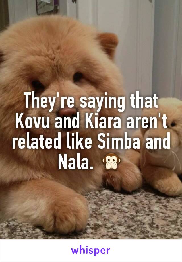 They're saying that Kovu and Kiara aren't related like Simba and Nala. 🙊