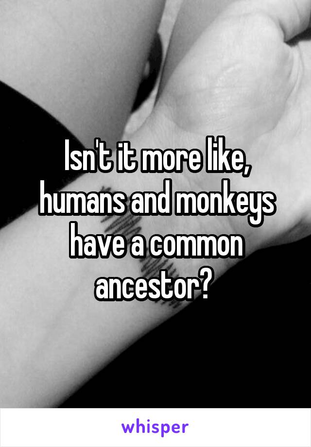 Isn't it more like, humans and monkeys have a common ancestor? 