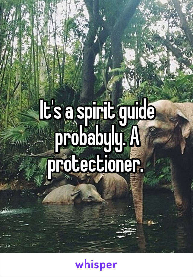 It's a spirit guide probabyly. A protectioner. 