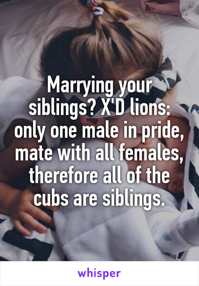 Marrying your siblings? X'D lions: only one male in pride, mate with all females, therefore all of the cubs are siblings.