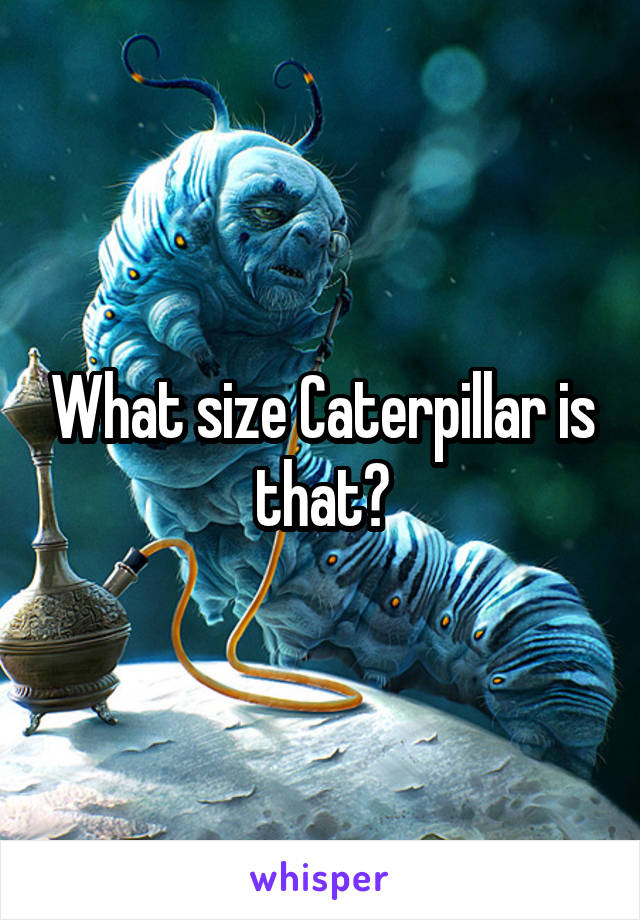 What size Caterpillar is that?