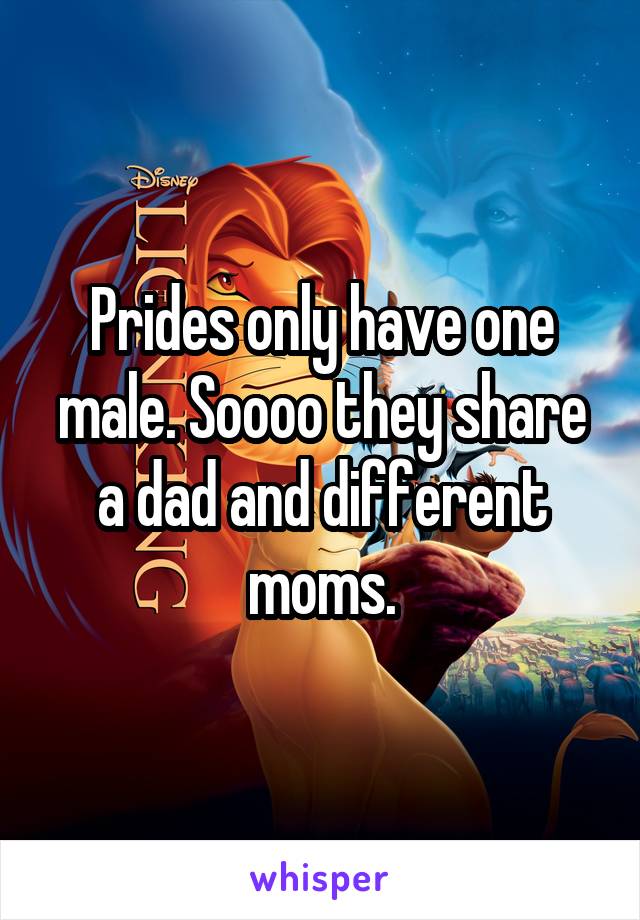 Prides only have one male. Soooo they share a dad and different moms.