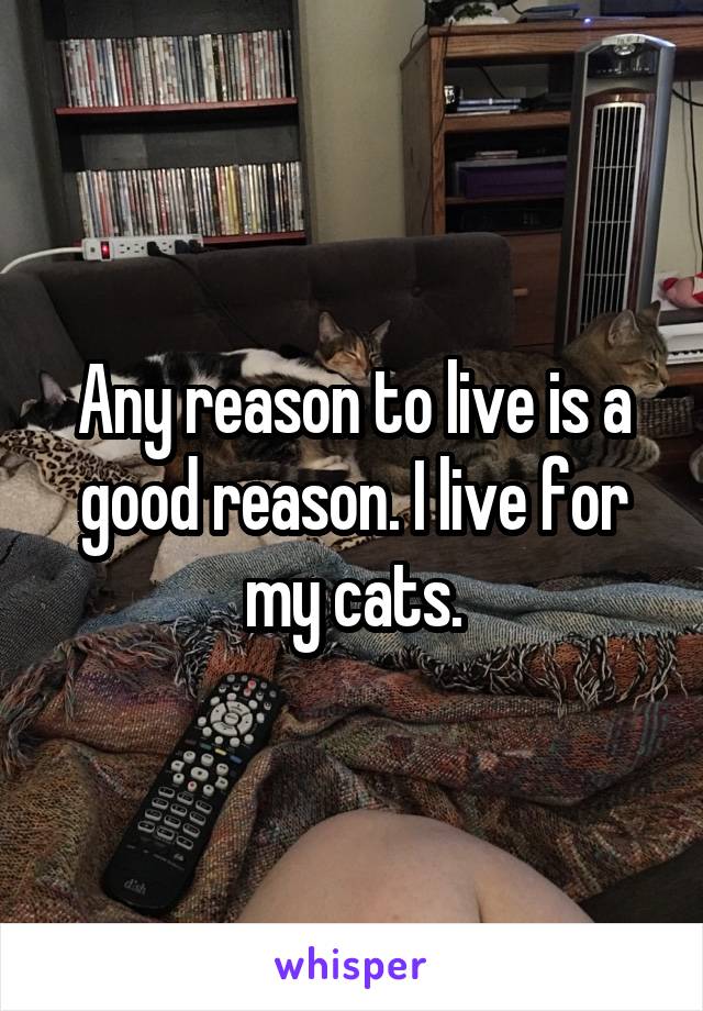 Any reason to live is a good reason. I live for my cats.
