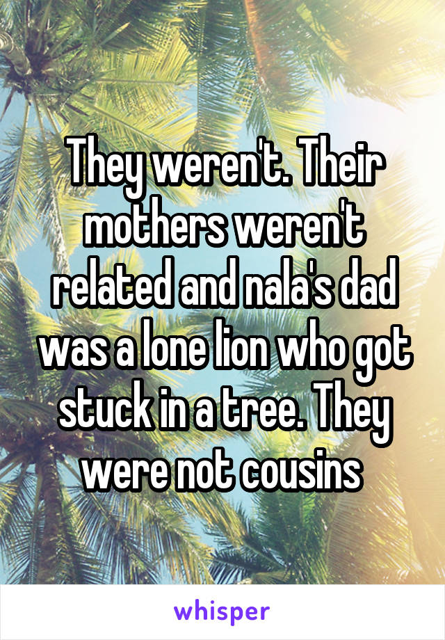 They weren't. Their mothers weren't related and nala's dad was a lone lion who got stuck in a tree. They were not cousins 