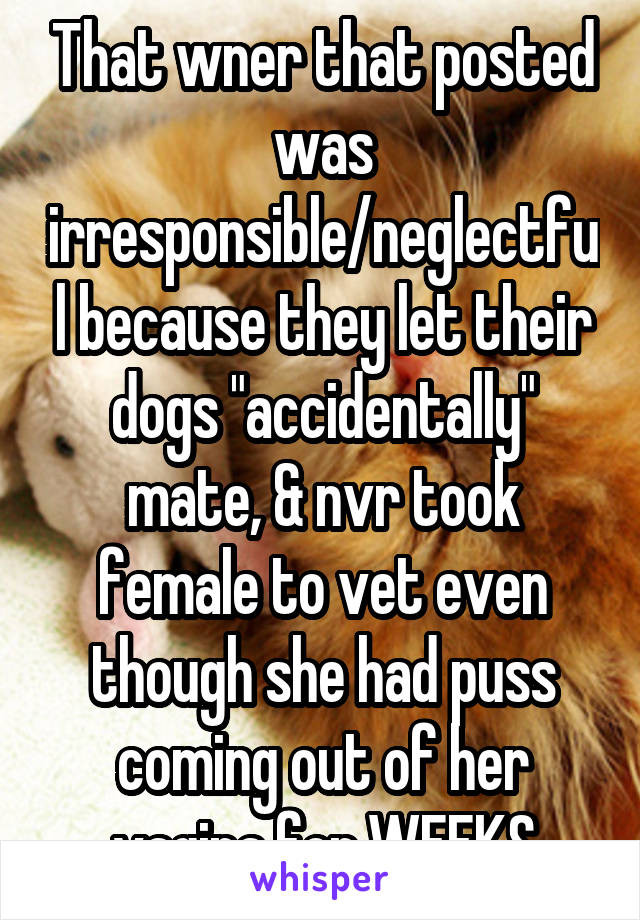 That wner that posted was irresponsible/neglectful because they let their dogs "accidentally" mate, & nvr took female to vet even though she had puss coming out of her vagina for WEEKS