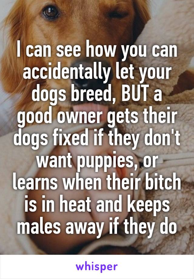 I can see how you can accidentally let your dogs breed, BUT a good owner gets their dogs fixed if they don't want puppies, or learns when their bitch is in heat and keeps males away if they do