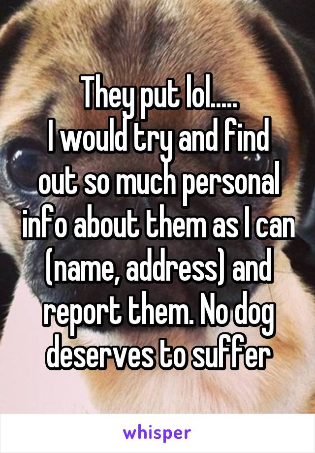 They put lol.....
I would try and find out so much personal info about them as I can (name, address) and report them. No dog deserves to suffer