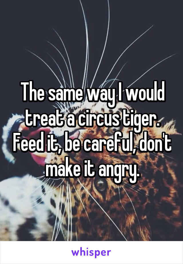 The same way I would treat a circus tiger. Feed it, be careful, don't make it angry.