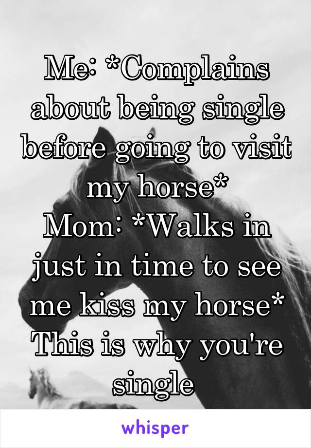 Me: *Complains about being single before going to visit my horse*
Mom: *Walks in just in time to see me kiss my horse* This is why you're single 