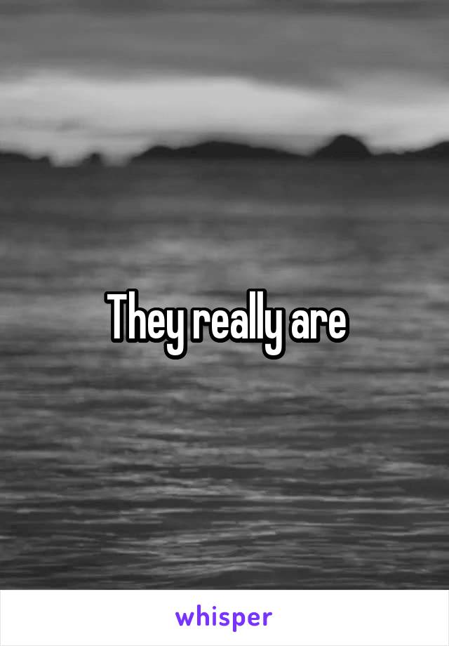 They really are
