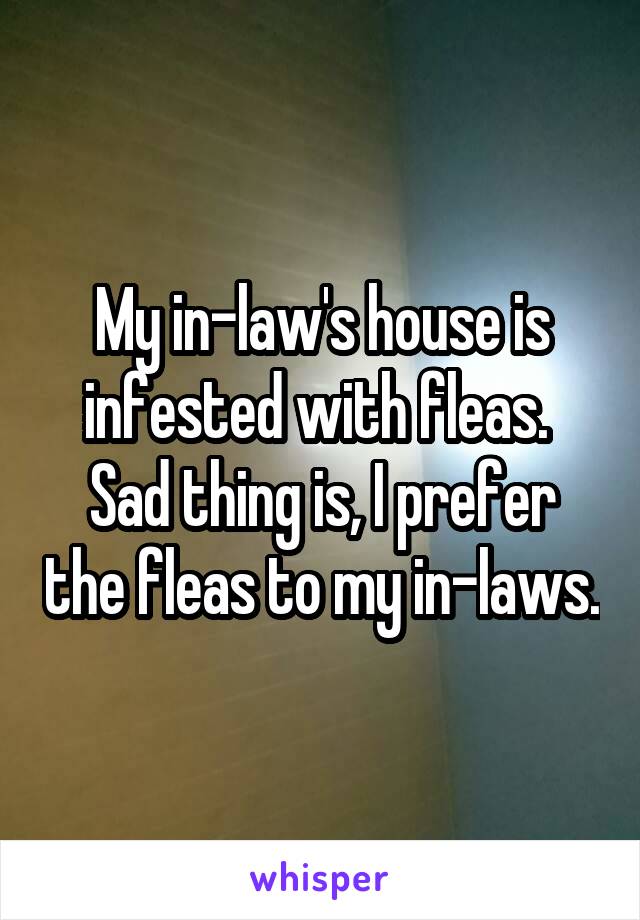My in-law's house is infested with fleas. 
Sad thing is, I prefer the fleas to my in-laws.