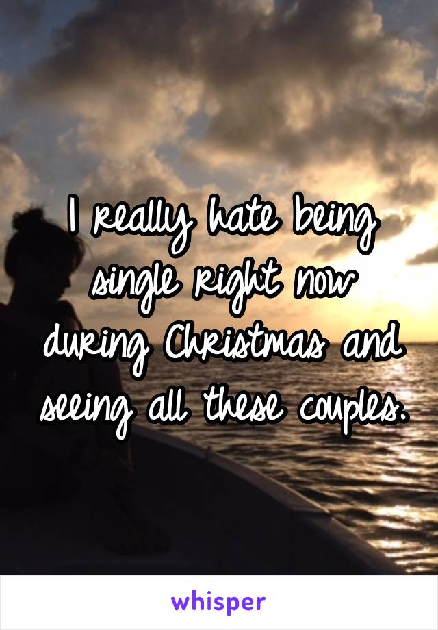 I really hate being single right now during Christmas and seeing all these couples.
