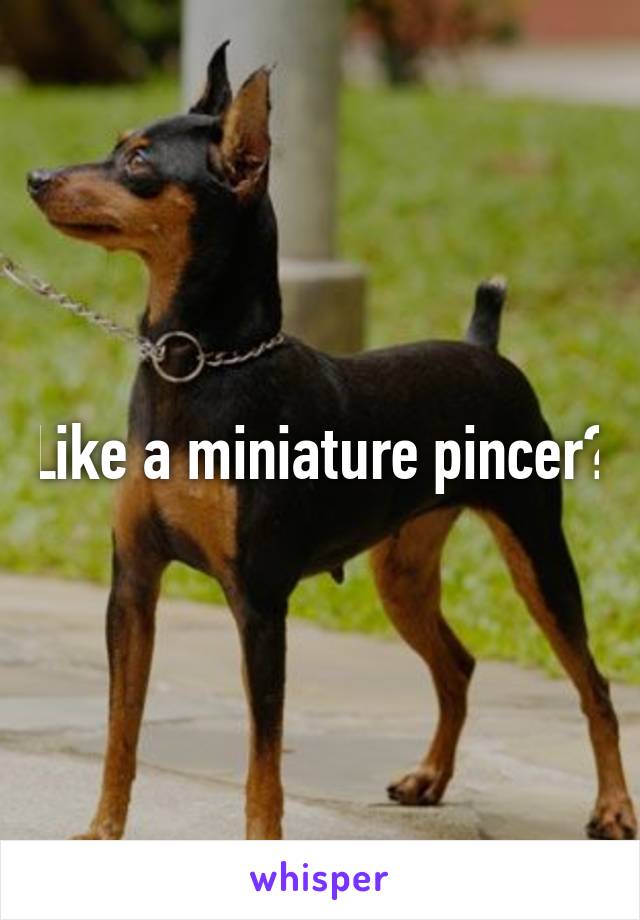 Like a miniature pincer?