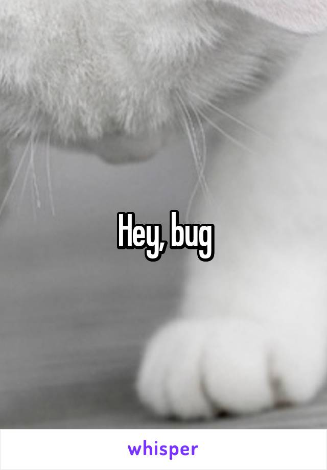 Hey, bug