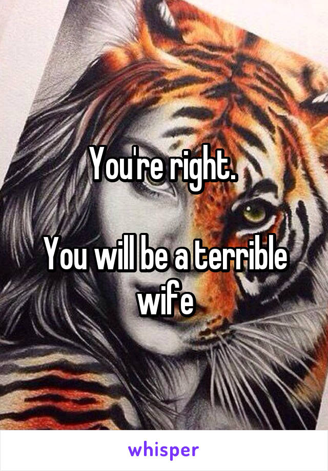 You're right. 

You will be a terrible wife