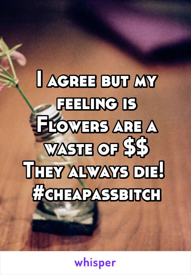 I agree but my feeling is
Flowers are a waste of $$
They always die! 
#cheapassbitch