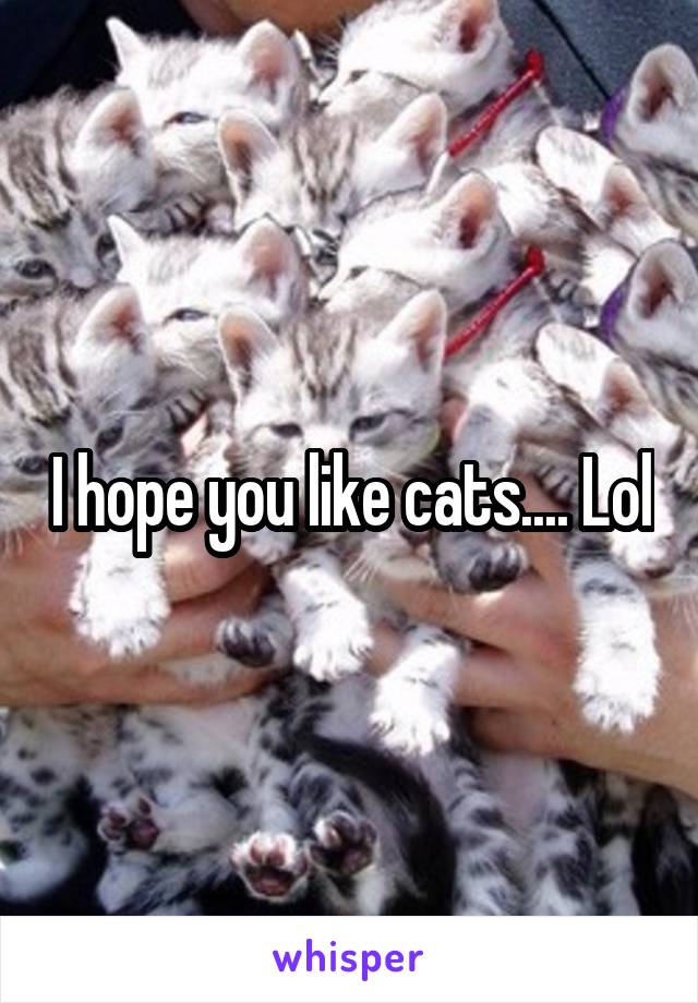 I hope you like cats.... Lol