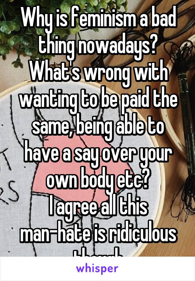 Why is feminism a bad thing nowadays?
What's wrong with wanting to be paid the same, being able to have a say over your own body etc?
I agree all this man-hate is ridiculous though