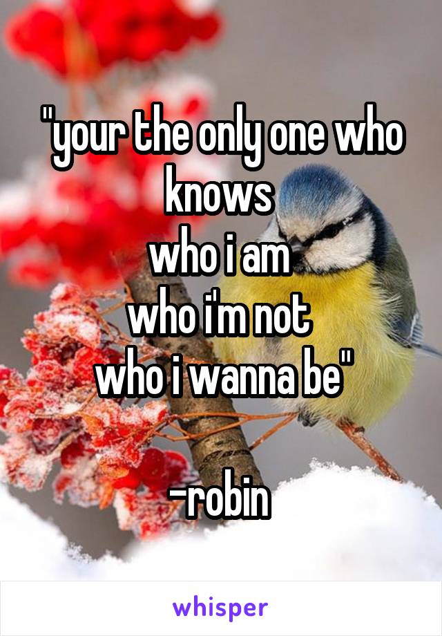 "your the only one who knows 
who i am 
who i'm not 
who i wanna be"

-robin 