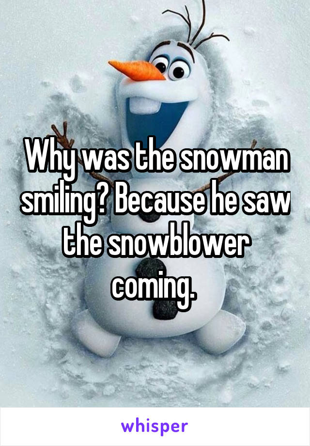 Why was the snowman smiling? Because he saw the snowblower coming. 