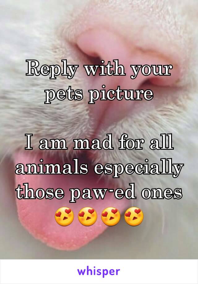 Reply with your pets picture

I am mad for all animals especially those paw-ed ones😍😍😍😍