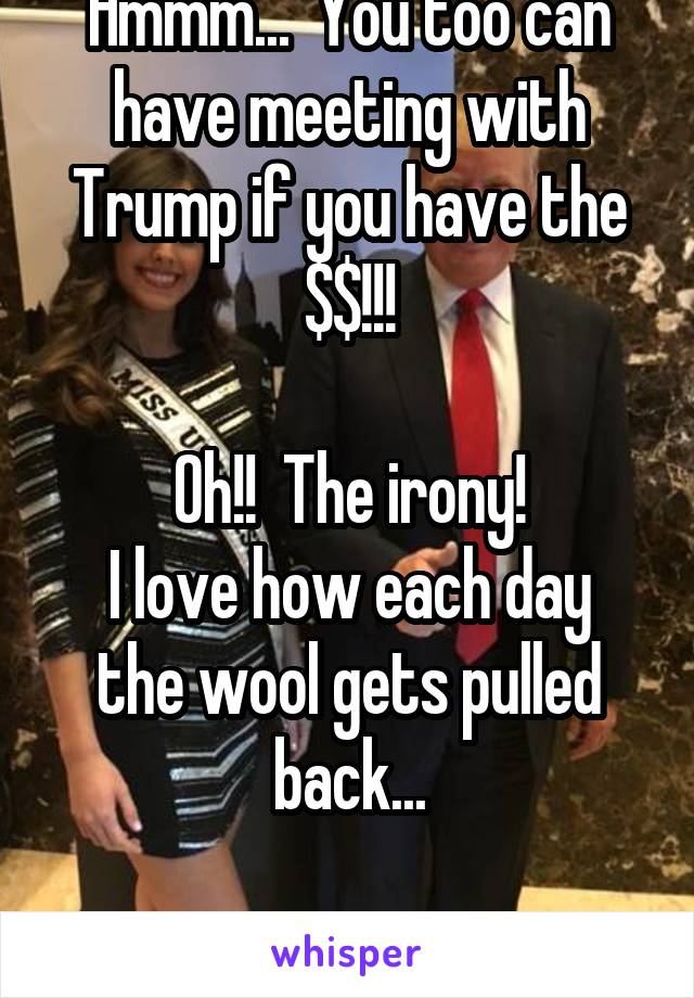 Hmmm...  You too can have meeting with Trump if you have the
$$!!!

Oh!!  The irony!
I love how each day the wool gets pulled back...

 