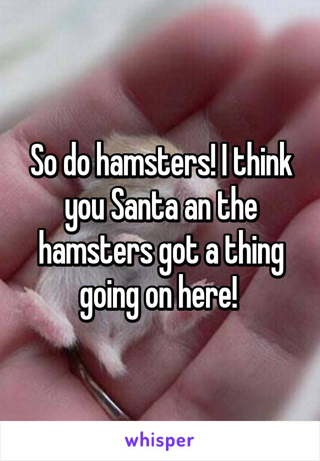 So do hamsters! I think you Santa an the hamsters got a thing going on here! 