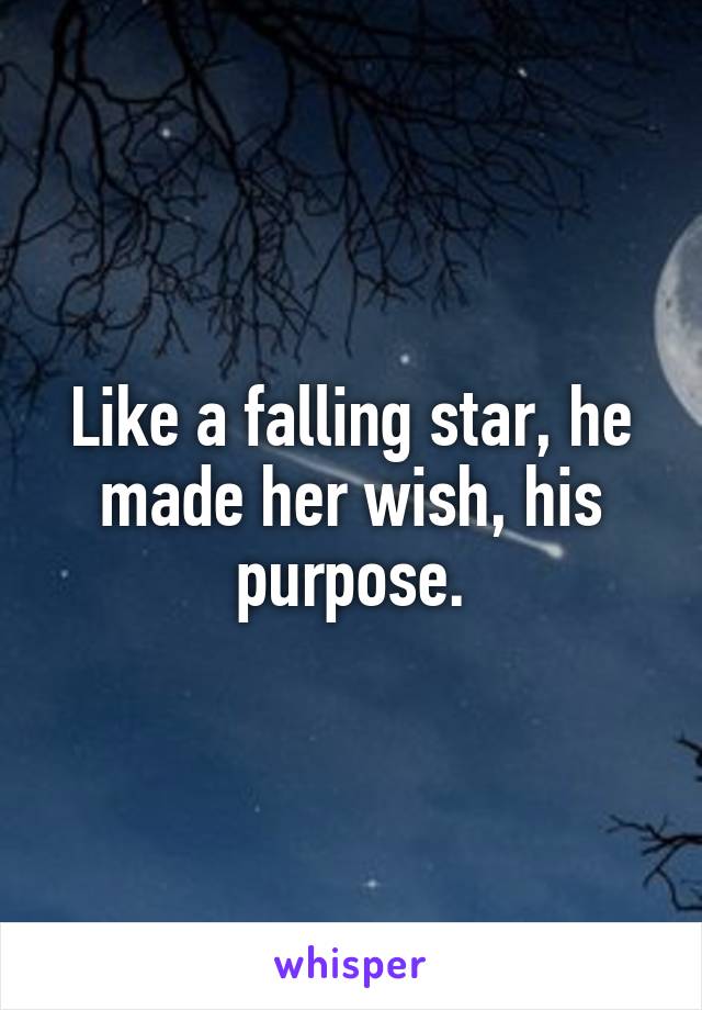 Like a falling star, he made her wish, his purpose.