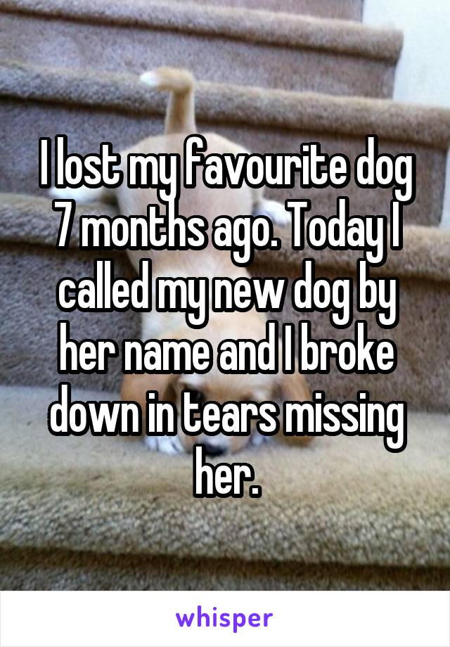 I lost my favourite dog 7 months ago. Today I called my new dog by her name and I broke down in tears missing her.