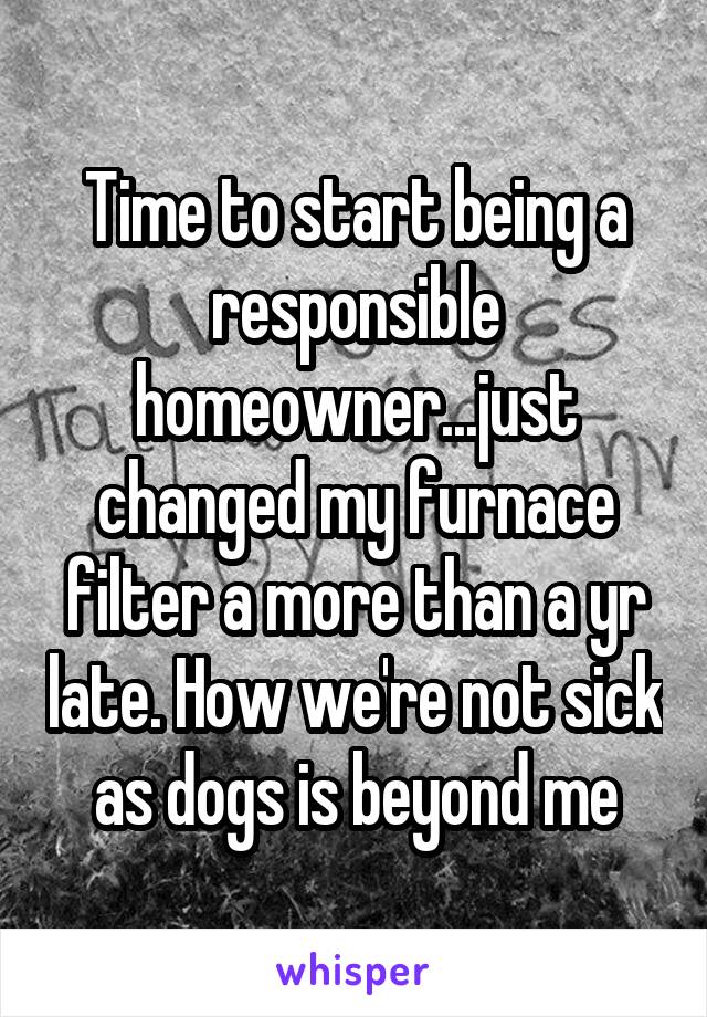 Time to start being a responsible homeowner...just changed my furnace filter a more than a yr late. How we're not sick as dogs is beyond me
