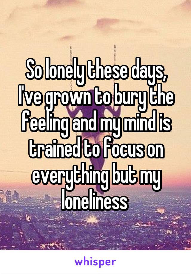 So lonely these days, I've grown to bury the feeling and my mind is trained to focus on everything but my loneliness 