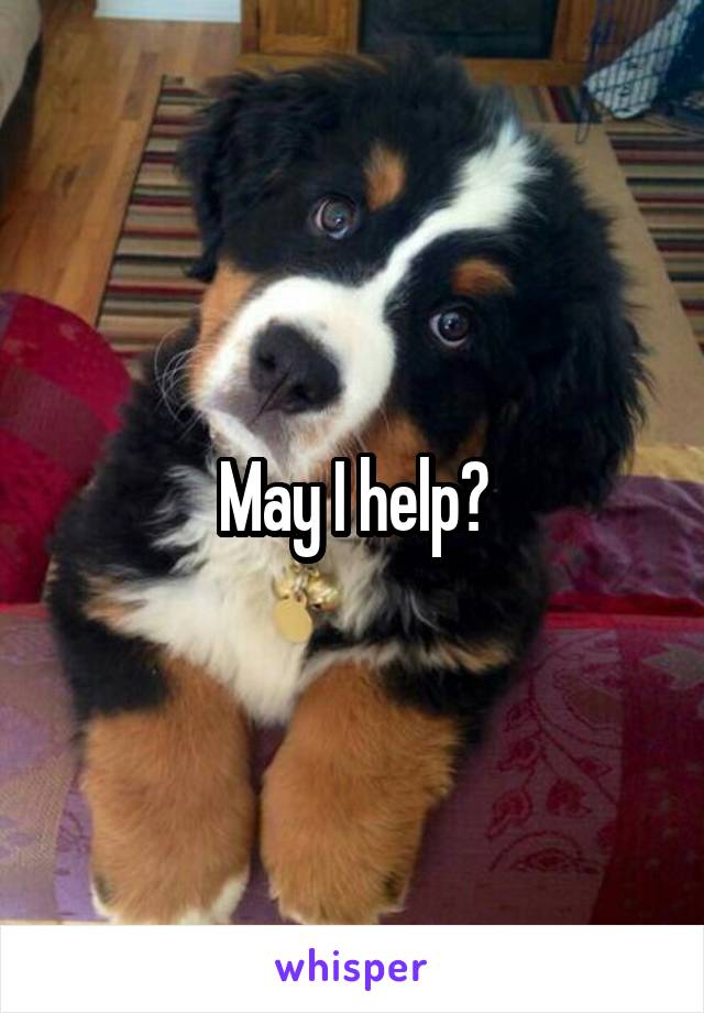 May I help?